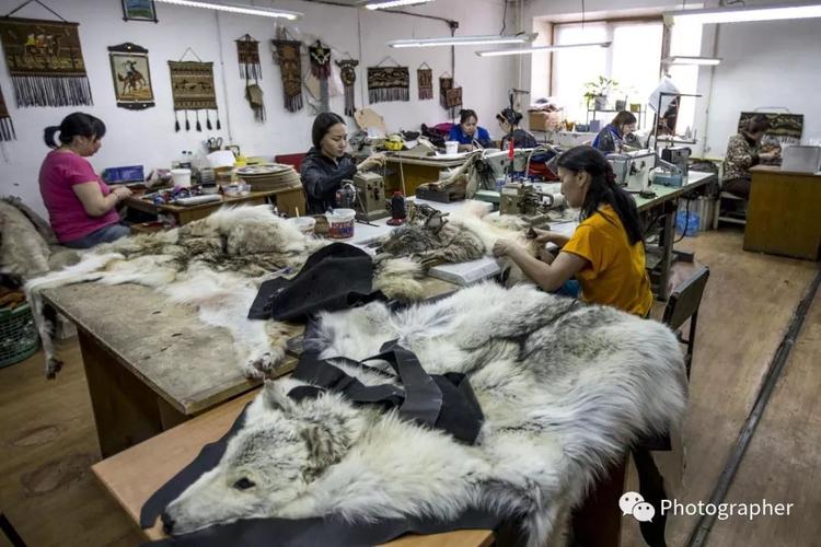 工人对狼皮进行加工,制成各种皮毛制品.