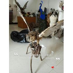 菏泽市牡丹区元泽皮毛工艺品厂