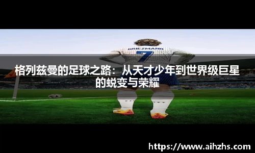 im电竞平台官网
