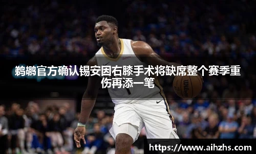 im电竞官网